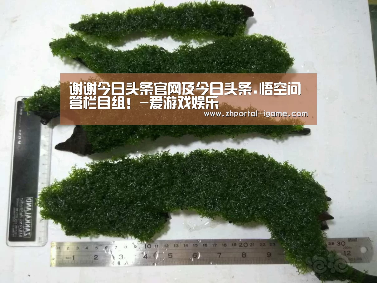 
谢谢今日头条官网及今日头条.悟空问答栏目组！-爱游戏娱乐(图4)