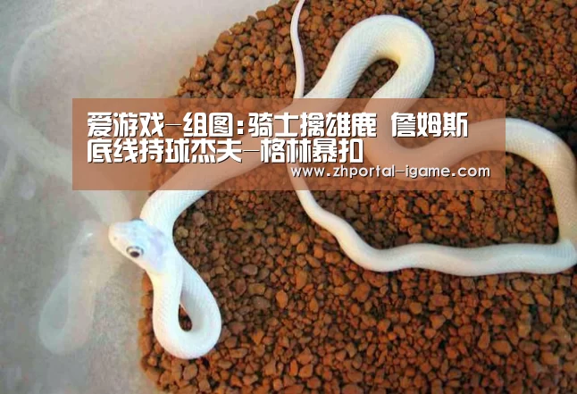 爱游戏-组图:骑士擒雄鹿 詹姆斯底线持球杰夫-格林暴扣(图3) 爱游戏-组图:骑士擒雄鹿 詹姆斯底线持球杰夫-格林暴扣(图3)
